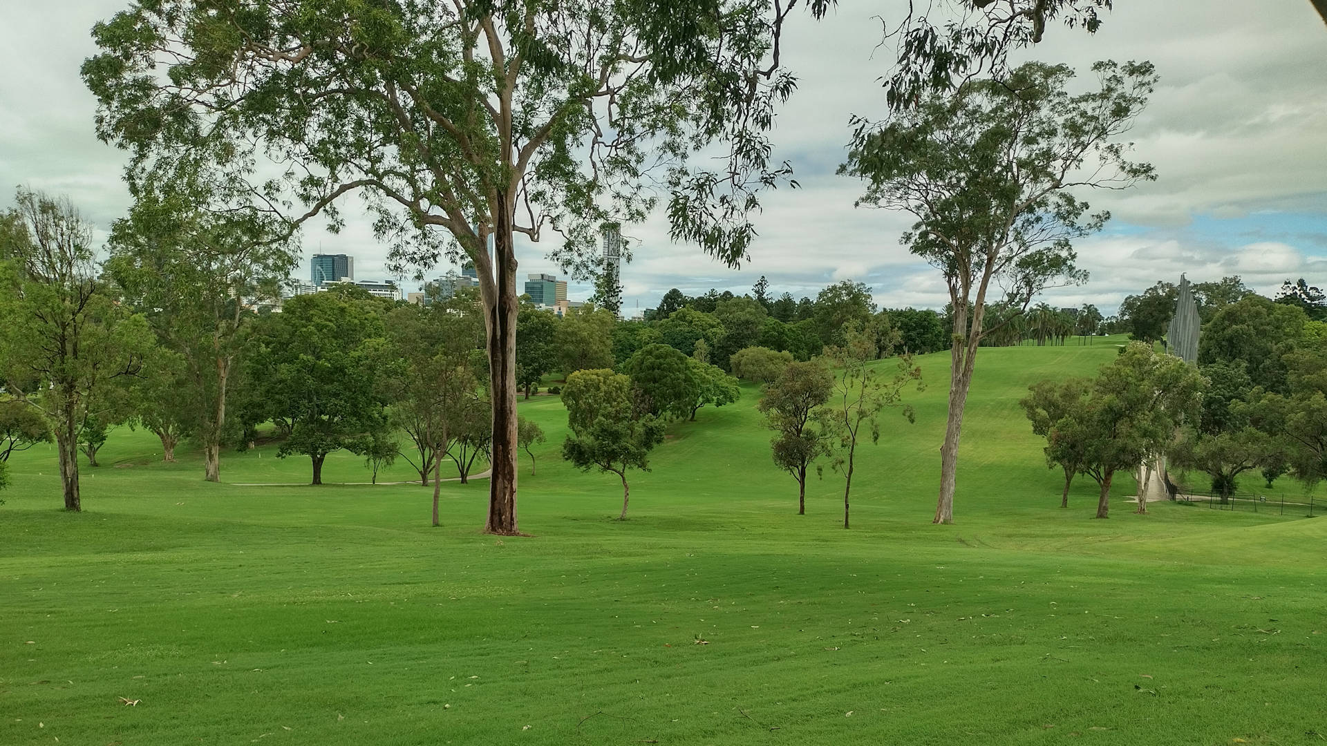 Green parkland with scattered trees, parkland in Herston, Brisbane