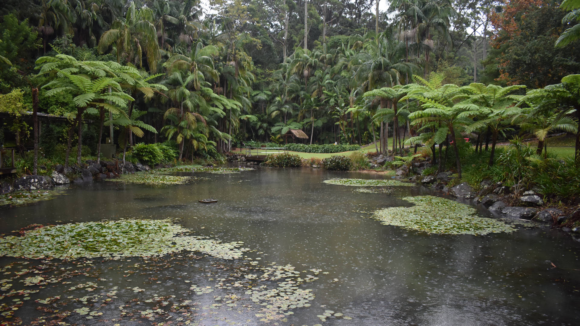 Botanic Gardens in Tamborine Mountain