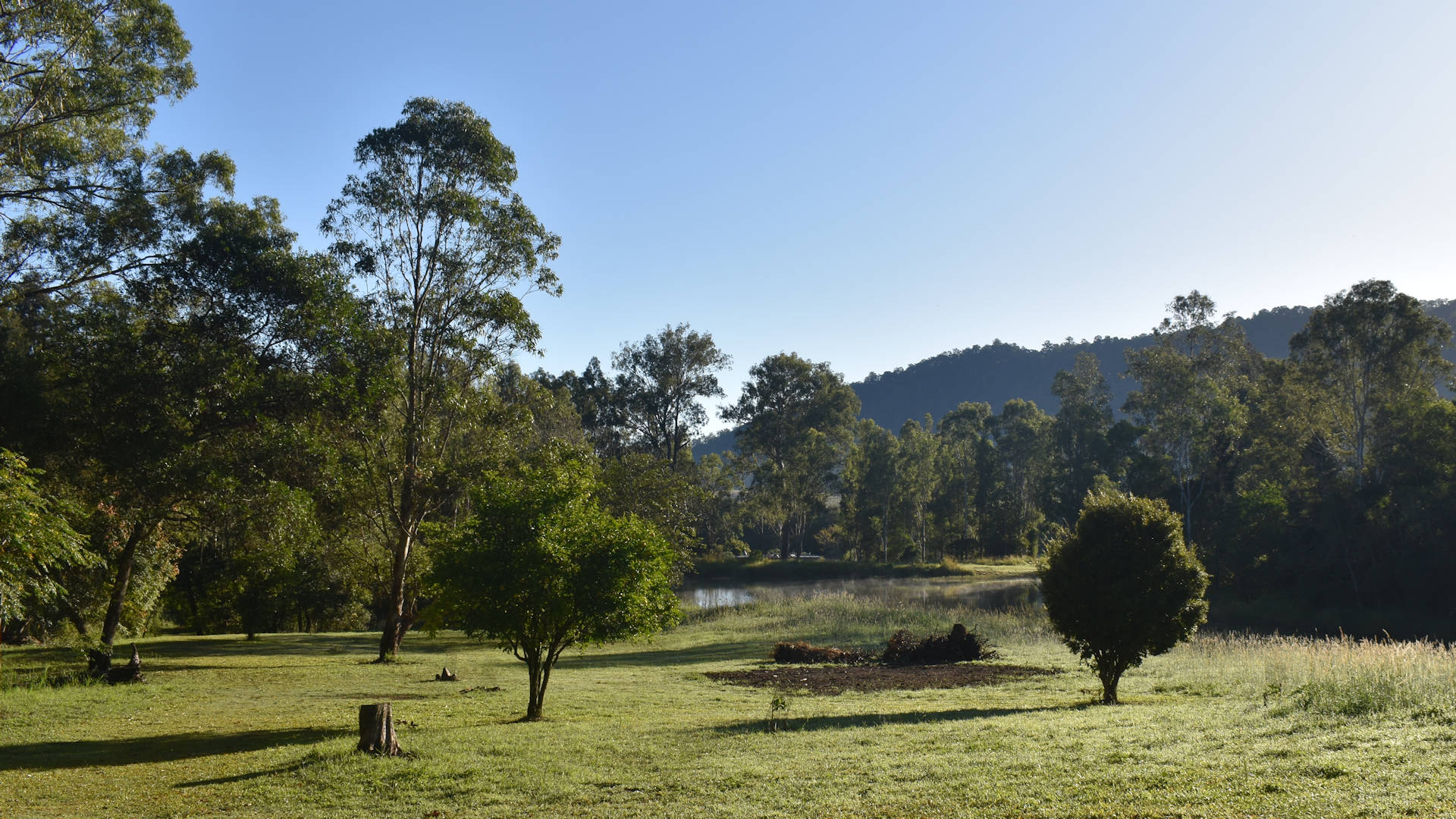 Early morning green grass field with bushland in the background behind a dam, taken at Crystal Waters Conondale