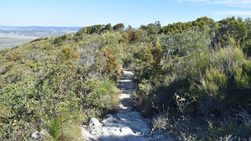 Trail from the summit of Mount Coolum to the southern side
