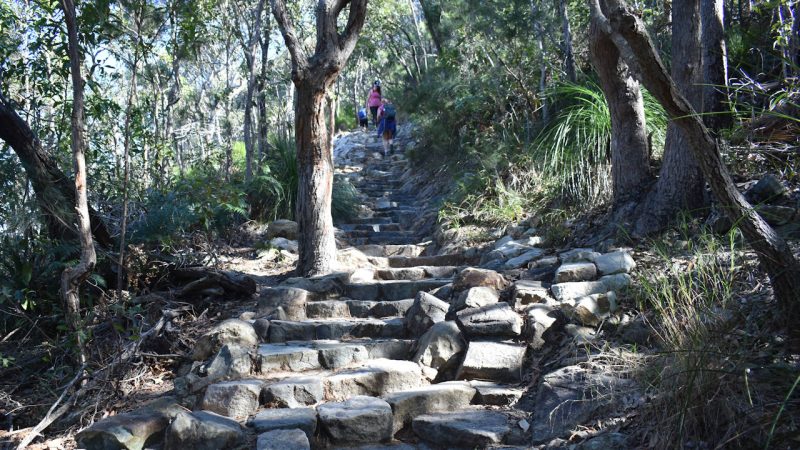 Steeper steps and narrower trail