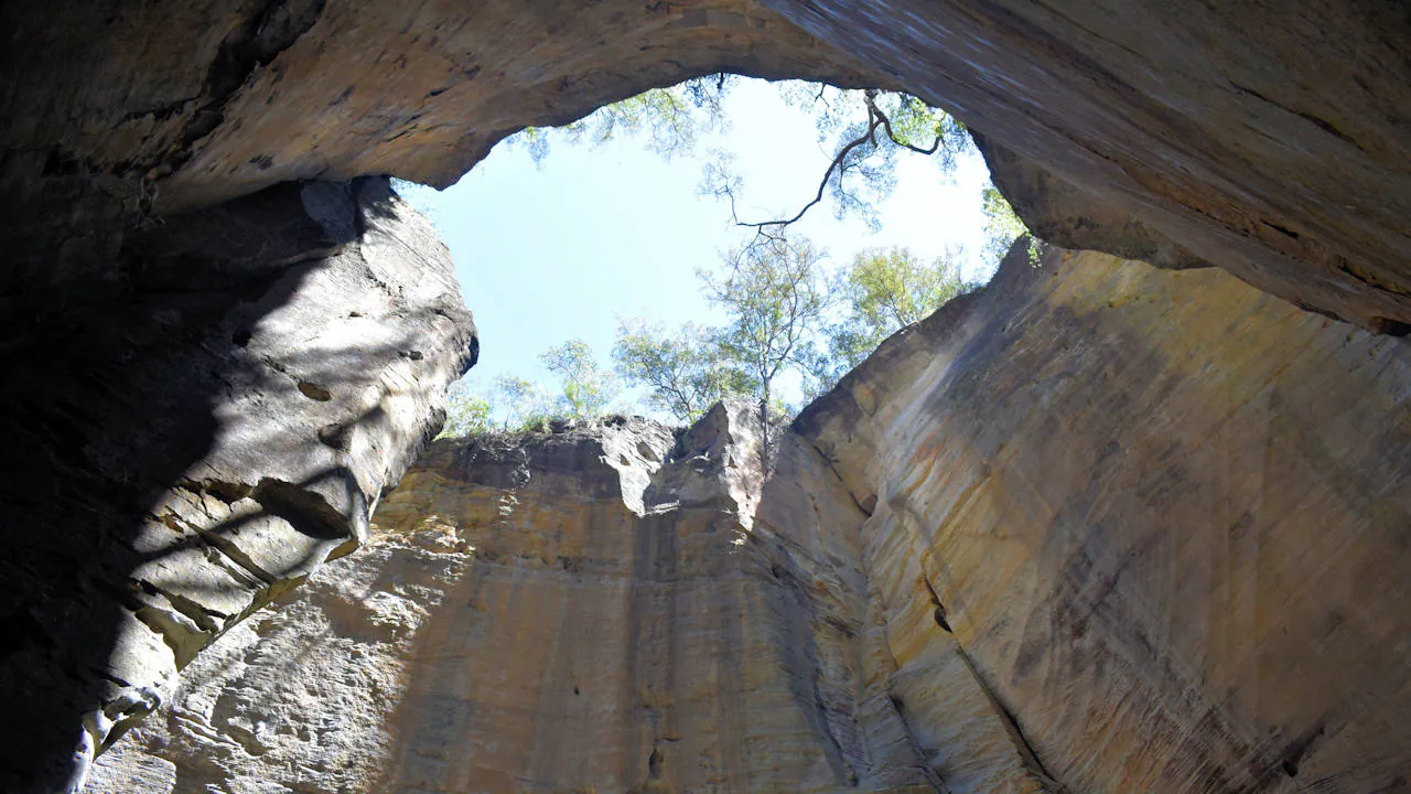 Looking up out of an enclosed gorge area with the sky above, taken in the Amphitheatre in Carnarvon Gorge