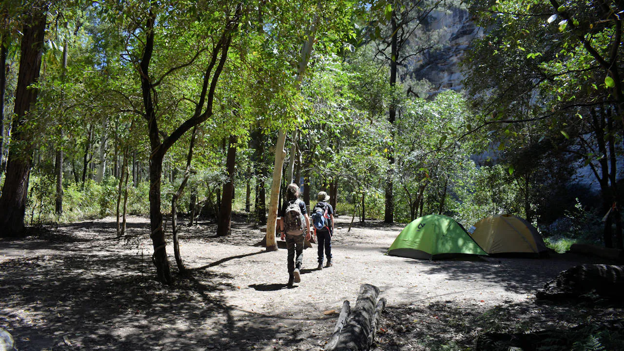 Big Bend camping area in Carnarvon Gorge