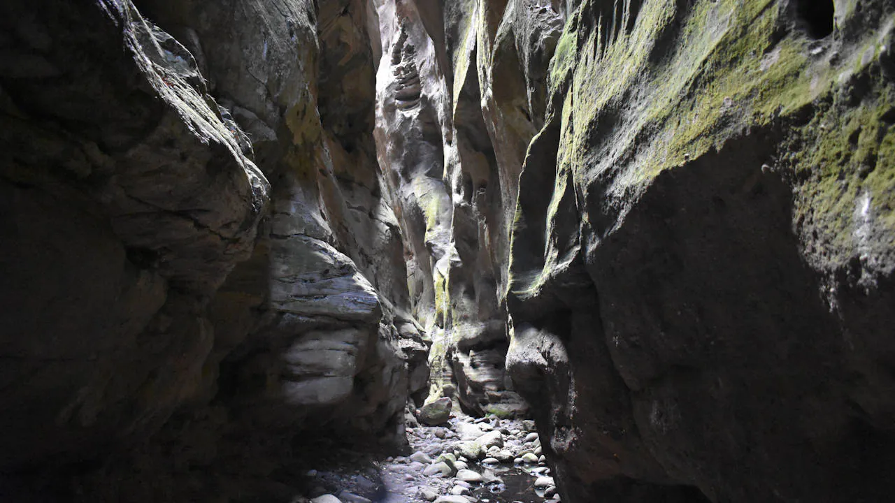 Looking into a narrow gorge, taken in Warrumbah Gorge at Carnarvon Gorge