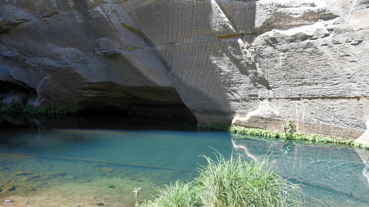 Water pool at the base of a sandstone wall, taken at Big Bend in Carnarvon Gorge