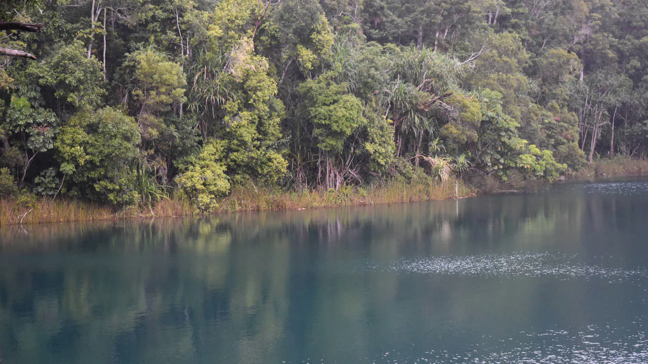Lake Eacham seen from the viewing platform