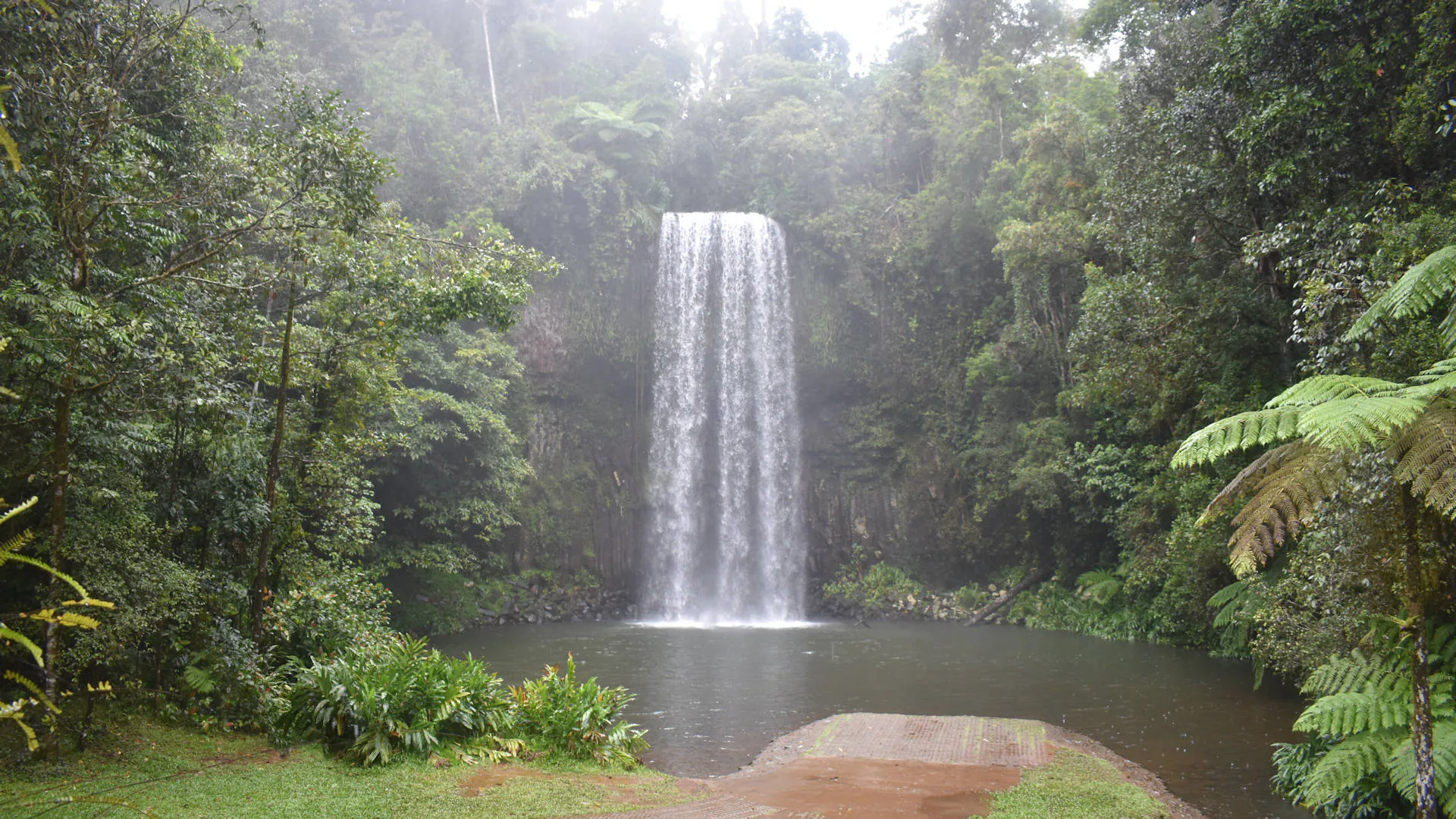 Millaa Millaa Falls during a rainy day
